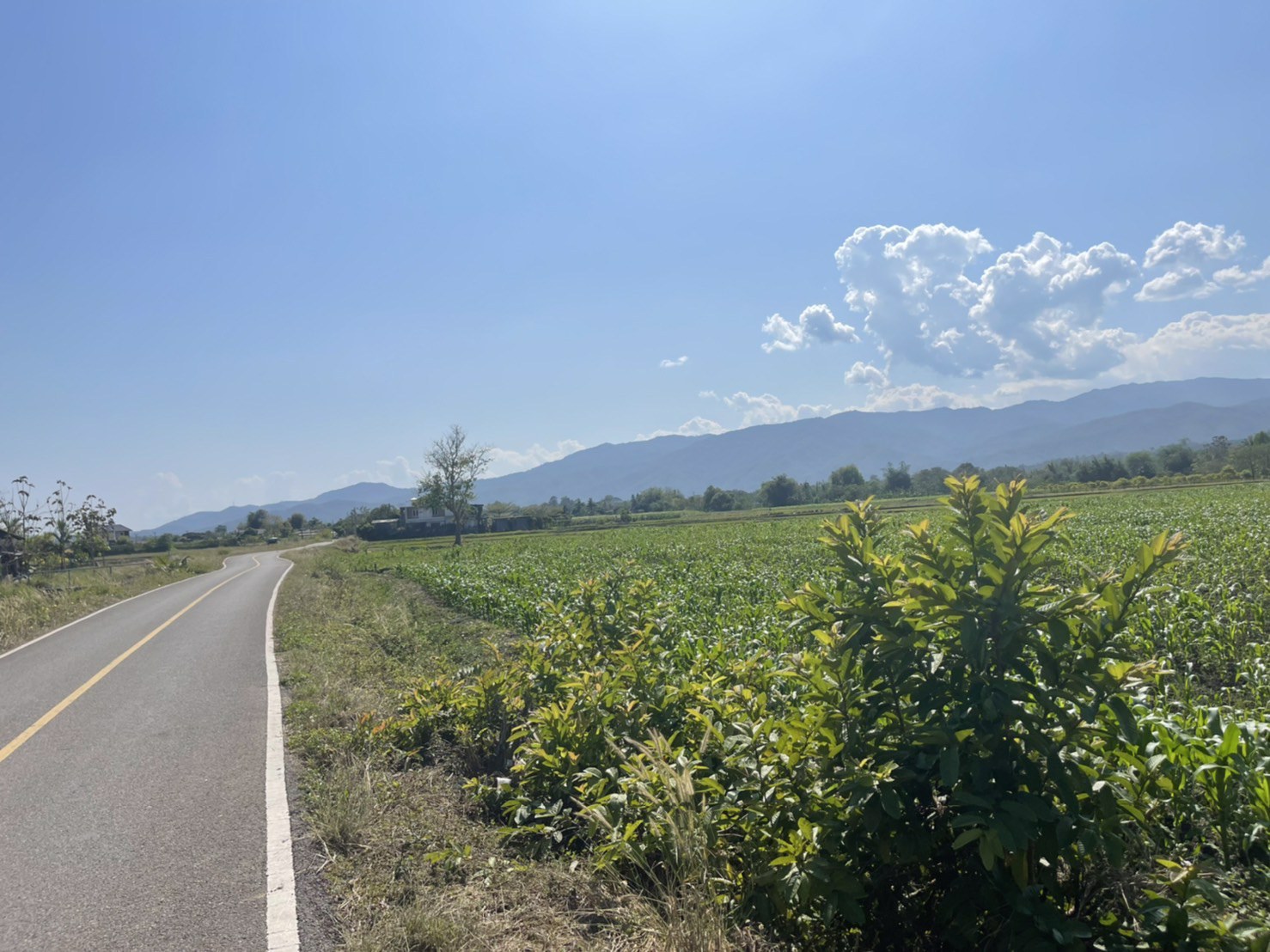 ขายที่ดินเชียงดาวแปลงเล็ก-2-ไร่-1-งาน-39-ตรว-วิวสวย-ทำเลทอง