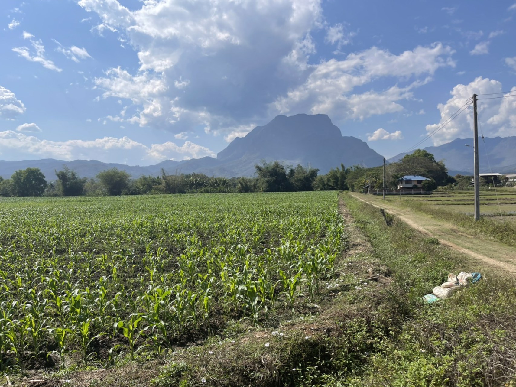 ขายที่ดินเชียงดาวแปลงเล็ก-2-ไร่-1-งาน-39-ตรว-วิวสวย-ทำเลทอง