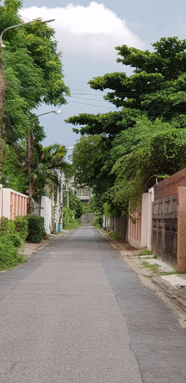 ขายที่ดิน84ตรวถนนรัชดา-สุทธิสาร-ถมแล้ว-ถนนลาดยาง-ซอยสวรรควิถี