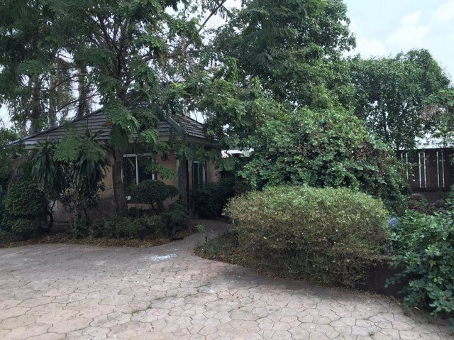 ให้เช่าบ้านเดี่ยวสไตล์บาหลี-ชั้นเดียว-พหลโยธิน-62-1-เนื้อที่-480-ตารางวา-ใกล้สนามบินดอนเมือง