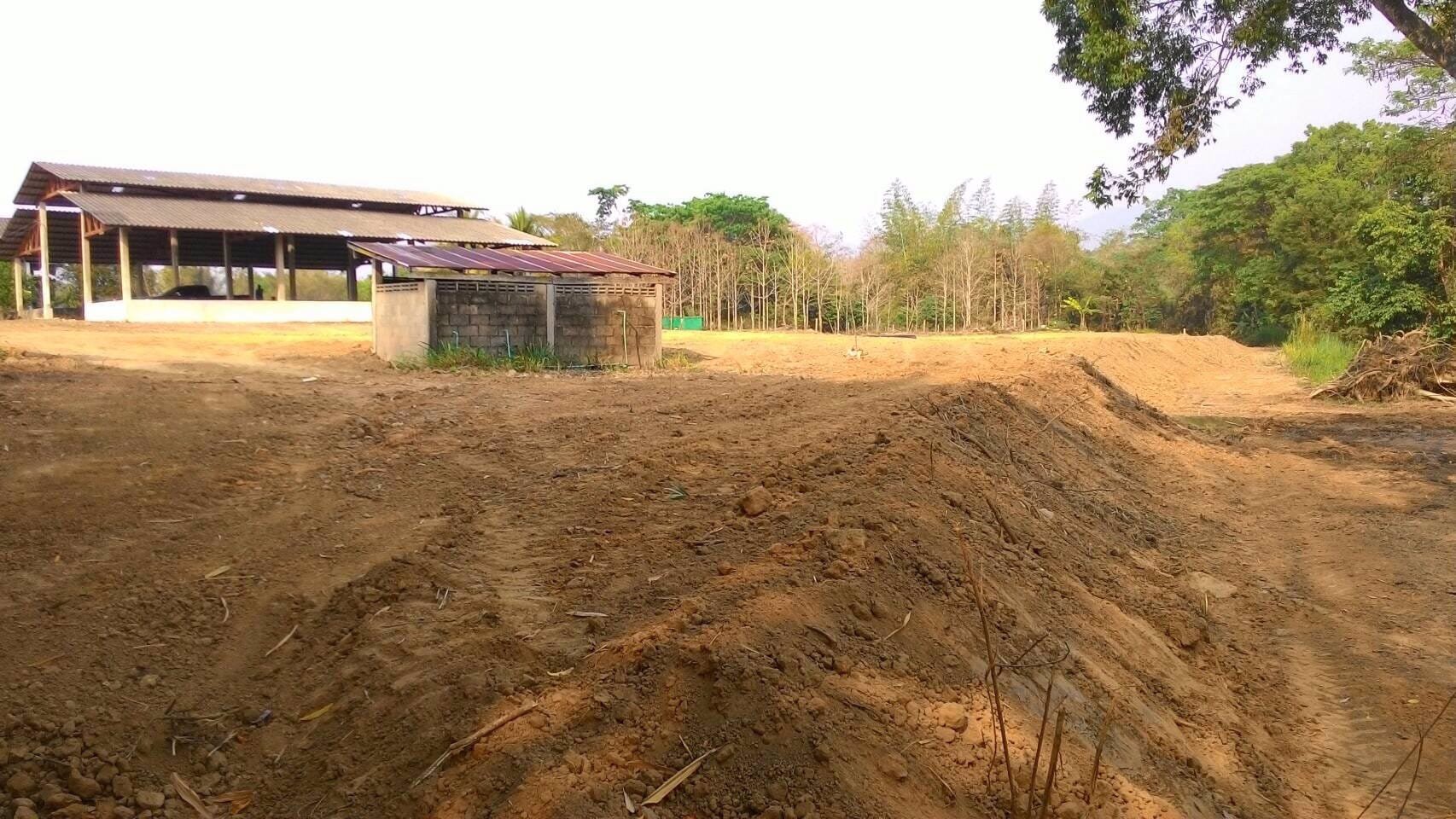 ขายที่ดิน-พร้อมสิ่งปลูกสร้าง-มีบ้านพักและโกดัง