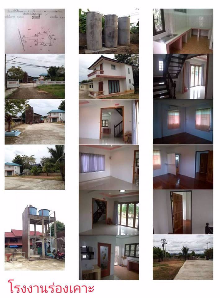 ขายที่ดิน-พร้อมกิจการโรงงานพืช-ผัก-ผลไม้-แปรรูป-พร้อมลูกค้ารายใหญ่ระดับประเทศ