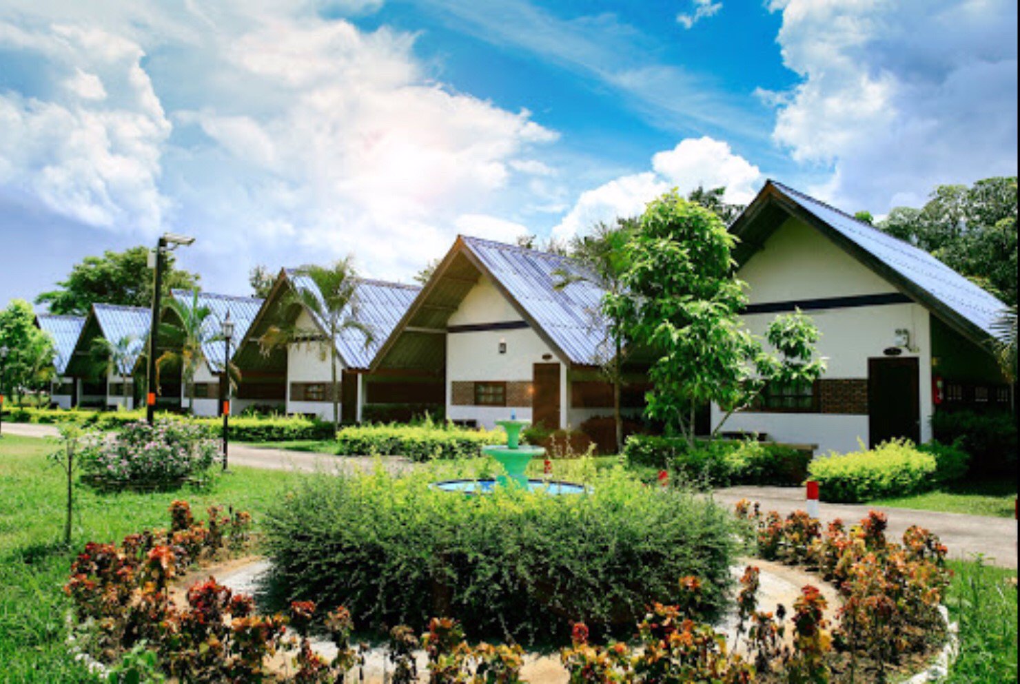 ขายธุรกิจโรงแรมราคาถูกเชียงราย-พร้อมสิ่งปลูกสร้างและเฟอร์นิเจอร์สิ่งอำนวยความสะดวกทุกอย่าง