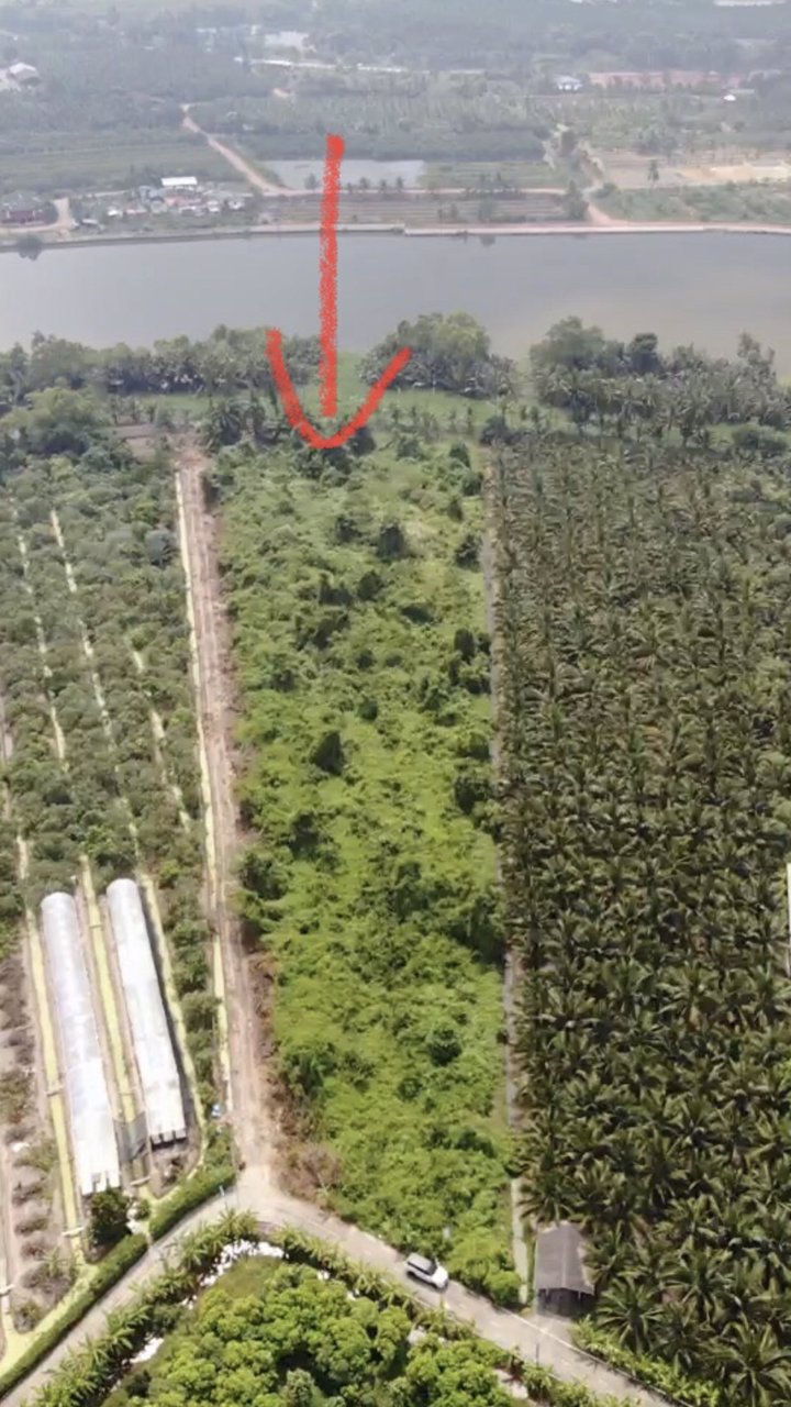 ขาย-ที่ดิน-ติดแม่น้ำท่าจีน-ฝั่งแหลมดินงอก-กระทุ่มแบน-สมุทรสาคร-เจ้าของขายเอง-