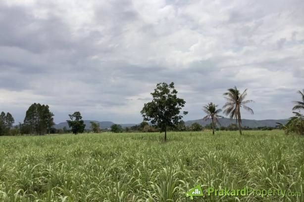 ขายที่ดินในพื่นที่-ตม่วงค่อม-อชัยบาดาล-จลพบุรี