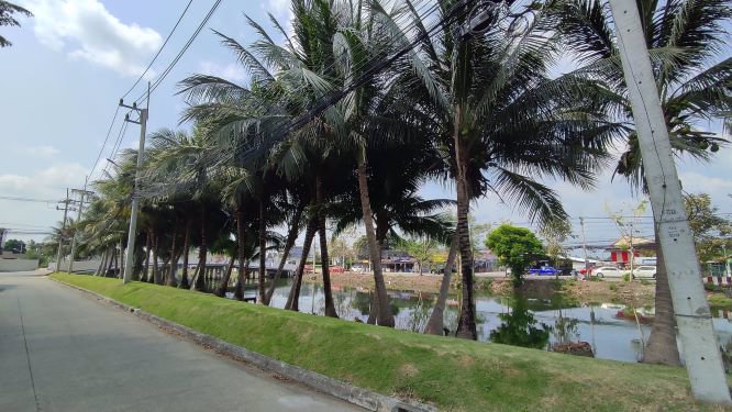 ขายทาวน์เฮ้าส์-อินดี้-รังสิต-คลอง3-indy-โดย-แลนด์-แอนด์-เฮ้าส์