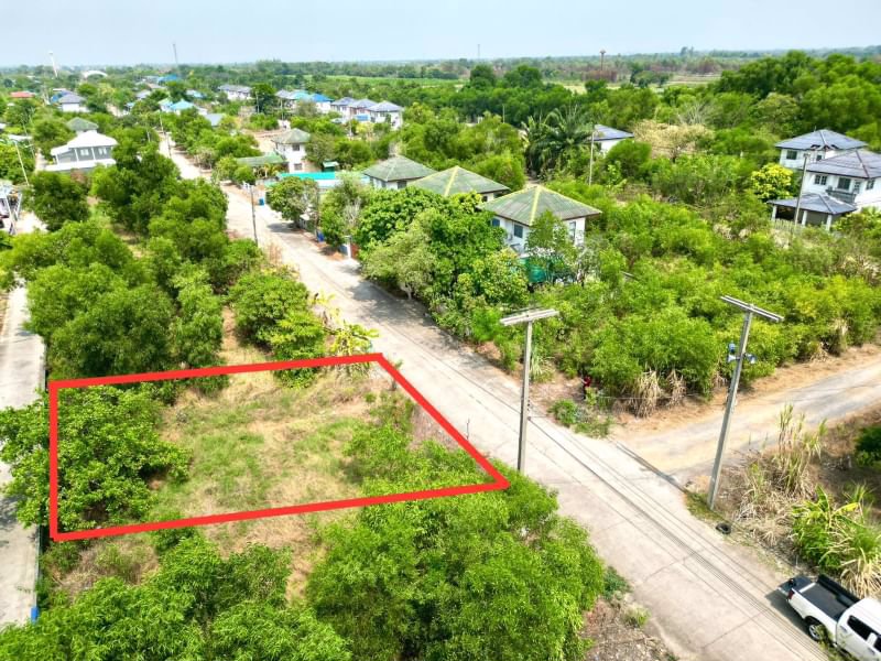 ด่วน-ขายถูก-ที่ดินเปล่าคลอง11-หนองเสือ-ปทุมธานี