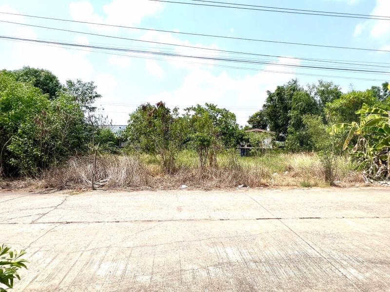 ด่วน-ขายถูก-ที่ดินเปล่าคลอง11-หนองเสือ-ปทุมธานี