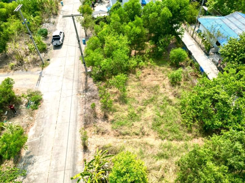 ด่วน-ขายถูก-ที่ดินเปล่าคลอง11-หนองเสือ-ปทุมธานี