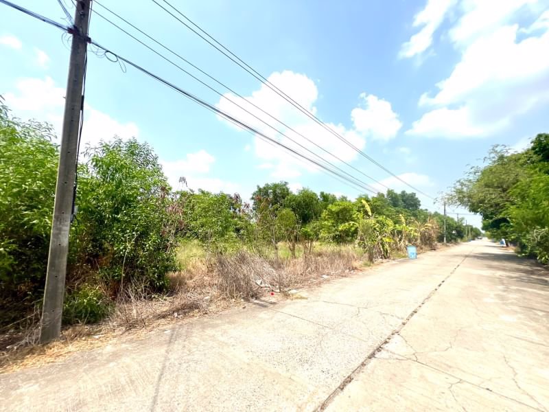 ด่วน-ขายถูก-ที่ดินเปล่าคลอง11-หนองเสือ-ปทุมธานี