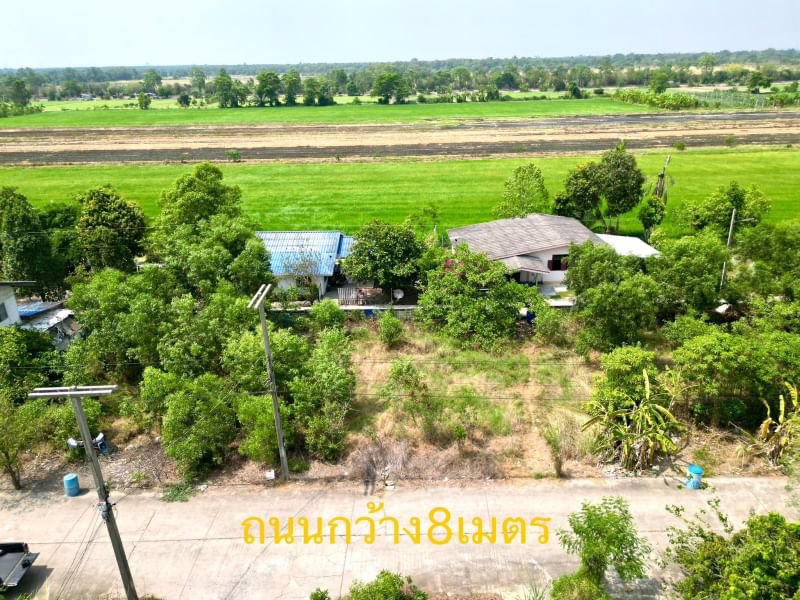 ด่วน-ขายถูก-ที่ดินเปล่าคลอง11-หนองเสือ-ปทุมธานี