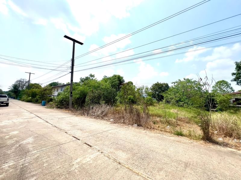 ด่วน-ขายถูก-ที่ดินเปล่าคลอง11-หนองเสือ-ปทุมธานี