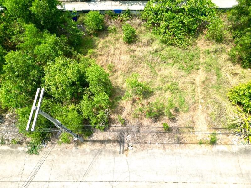 ด่วน-ขายถูก-ที่ดินเปล่าคลอง11-หนองเสือ-ปทุมธานี