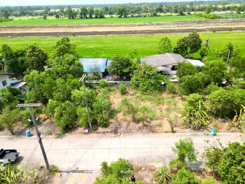 ด่วน-ขายถูก-ที่ดินเปล่าคลอง11-หนองเสือ-ปทุมธานี