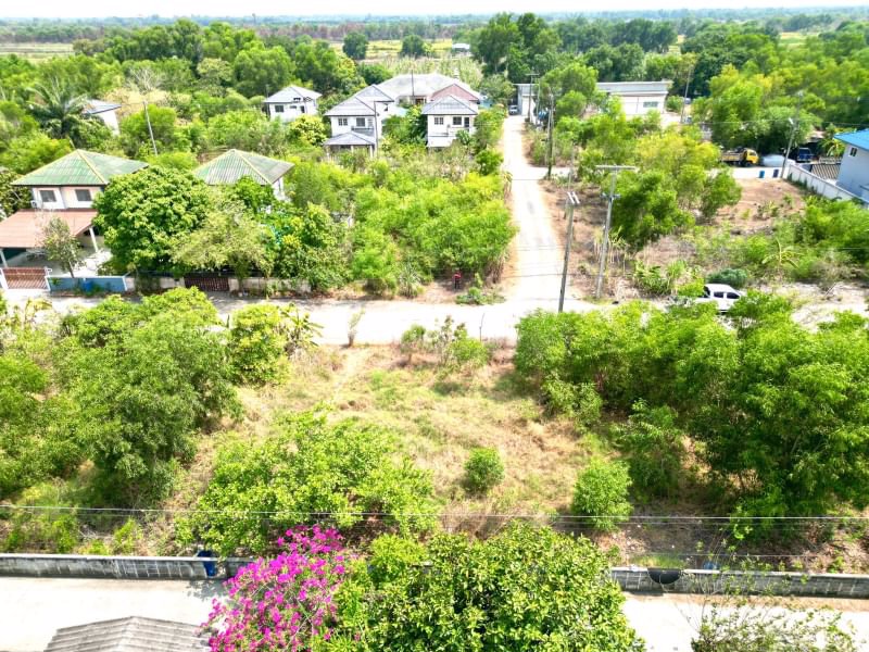 ด่วน-ขายถูก-ที่ดินเปล่าคลอง11-หนองเสือ-ปทุมธานี