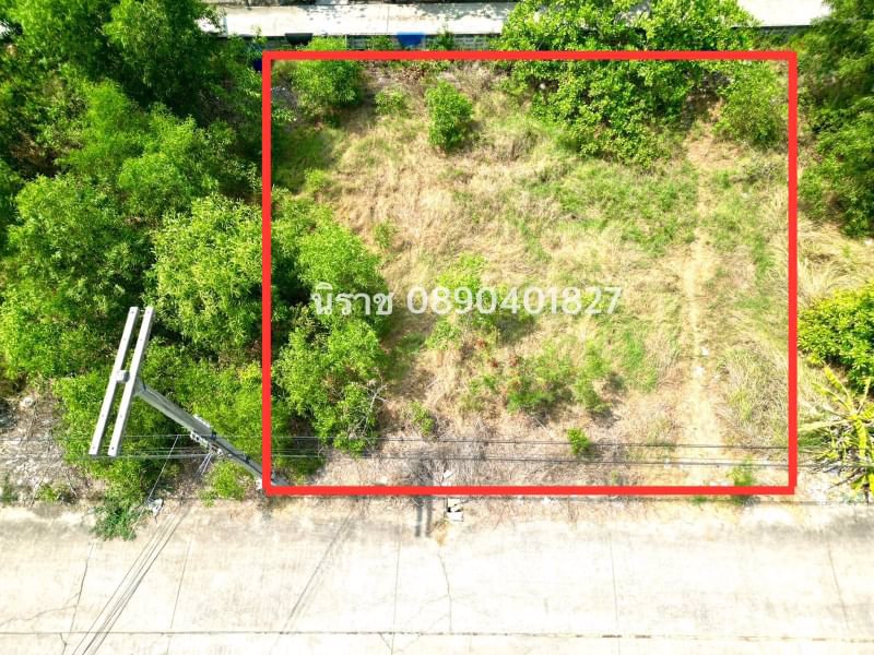 ด่วน-ขายถูก-ที่ดินเปล่าคลอง11-หนองเสือ-ปทุมธานี