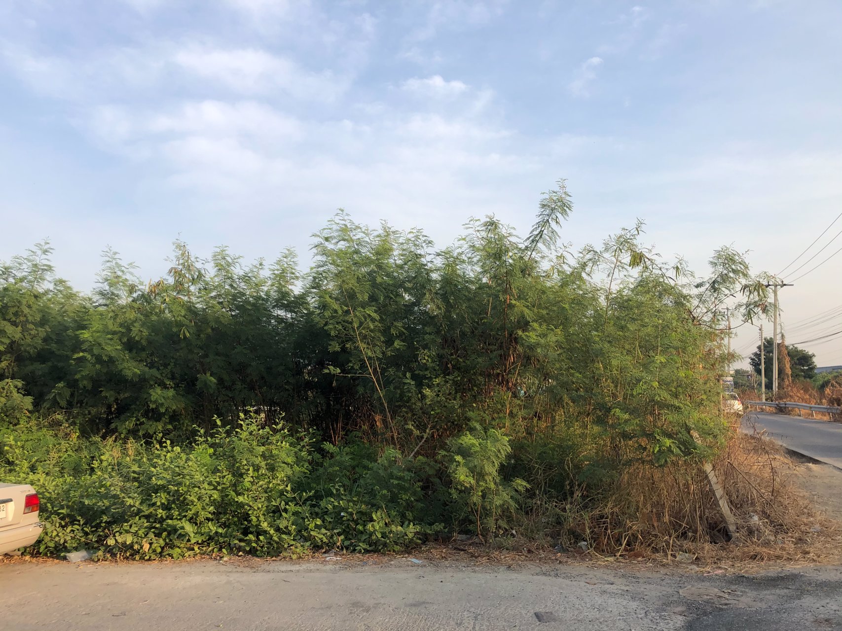 ขายที่ดิน-2งาน-พร้อมสิ่งปลูกสร้าง-ใกล้เทศบาลเมืองแพรกษาใหม่-สนใจติดต่อ-โทร-082-441-5799-line-