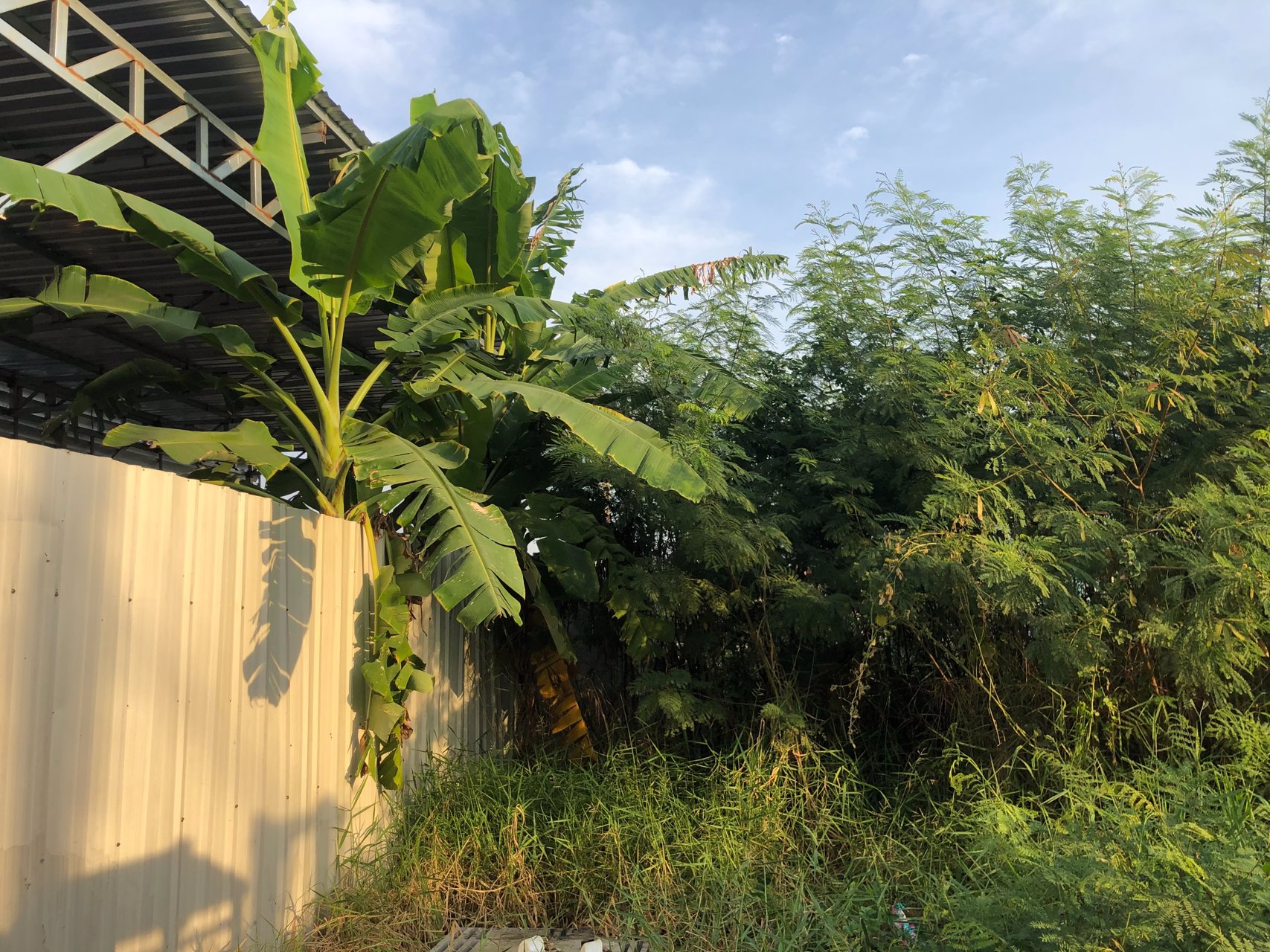 ขายที่ดิน-2งาน-พร้อมสิ่งปลูกสร้าง-ใกล้เทศบาลเมืองแพรกษาใหม่-สนใจติดต่อ-โทร-082-441-5799-line-