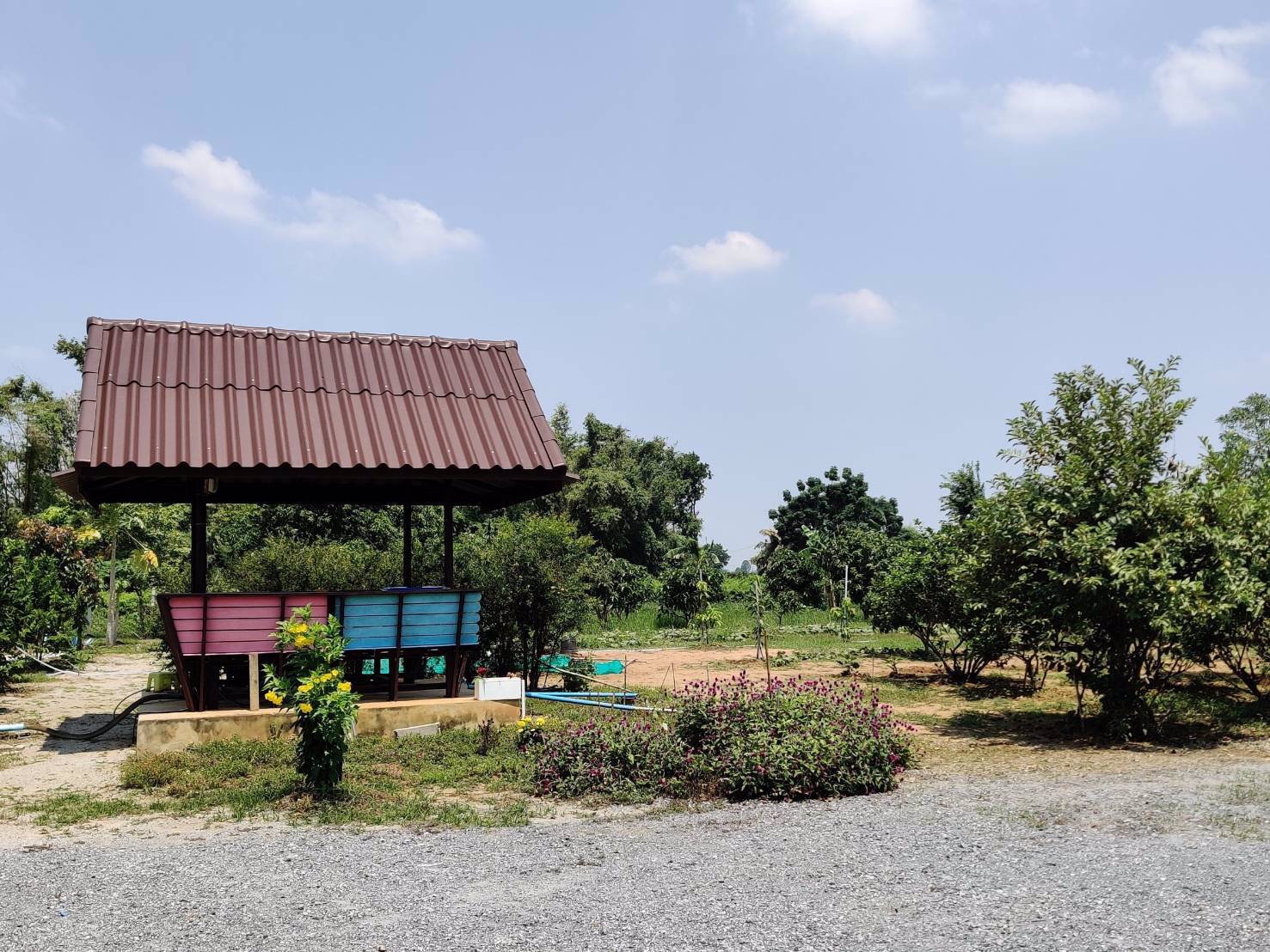 ขาย-บ้านพร้อมที่ดินทำไร่-พื้นที่-9-ไร่-2-งาน-อู่ทอง-สุพรรณบุรี