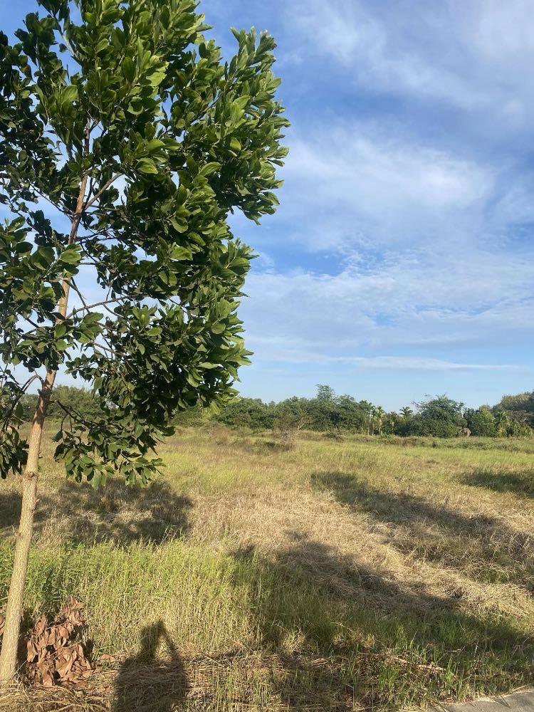 ที่ดินสวยและบรรยากาศดีมาก-มีถนนผ่ากลาง-อยู่หลังโรงพยาบาลมะขาม-ขายที่ดิน-อมะขาม-จจันทบุรี