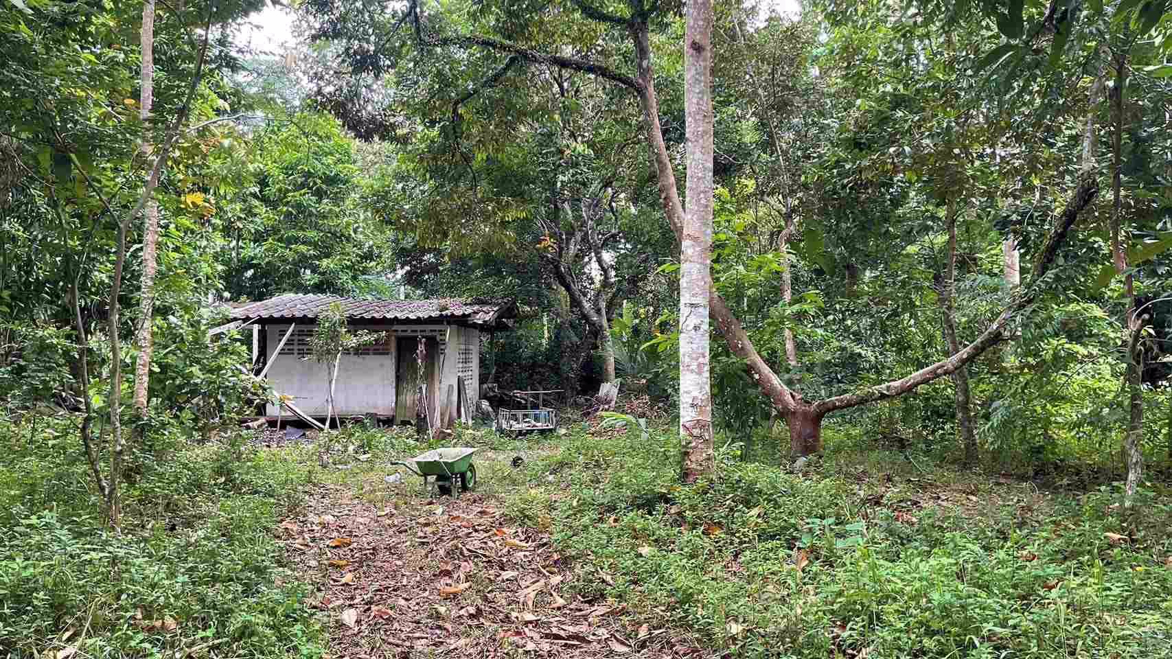 ขายที่ดิน-อท่าใหม่-จจันทบุรี-22-ไร่-2-งาน-15-ตารางวา-土地出售-泰国尖竹汶府