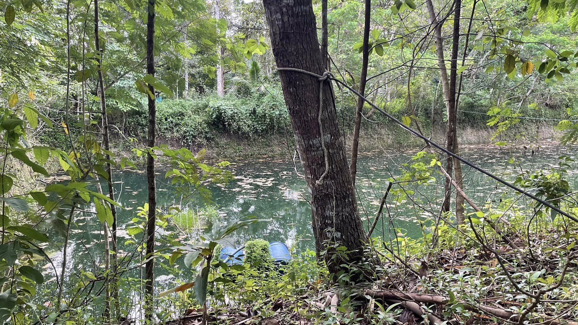 ขายที่ดิน-อท่าใหม่-จจันทบุรี-22-ไร่-2-งาน-15-ตารางวา-土地出售-泰国尖竹汶府