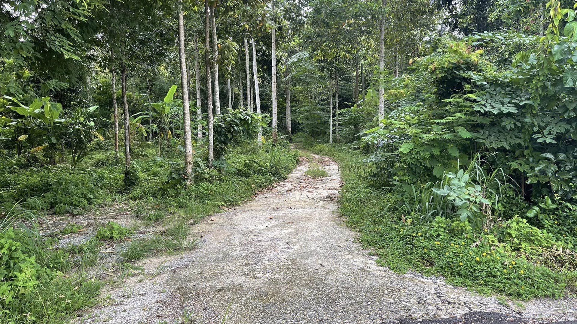 ขายที่ดิน-อท่าใหม่-จจันทบุรี-22-ไร่-2-งาน-15-ตารางวา-土地出售-泰国尖竹汶府