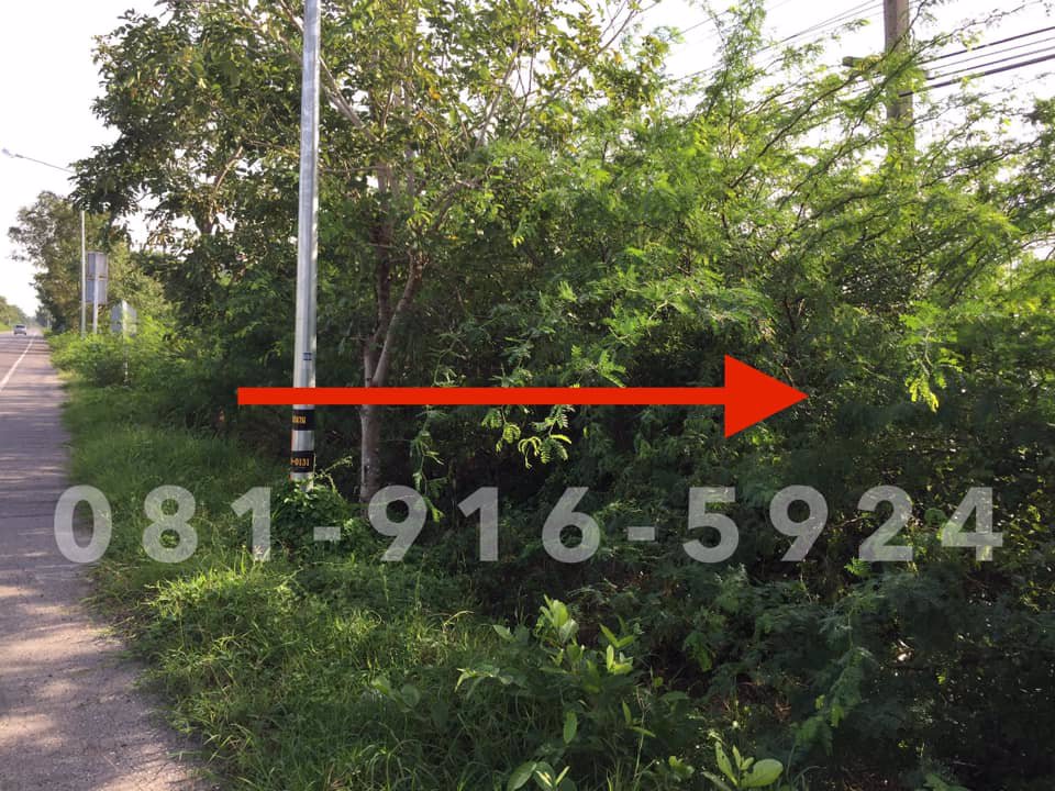 ขายที่ดินเปล่าใกล้หาดเจ้าสำราญ