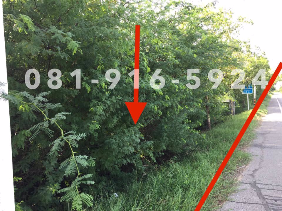 ขายที่ดินเปล่าใกล้หาดเจ้าสำราญ