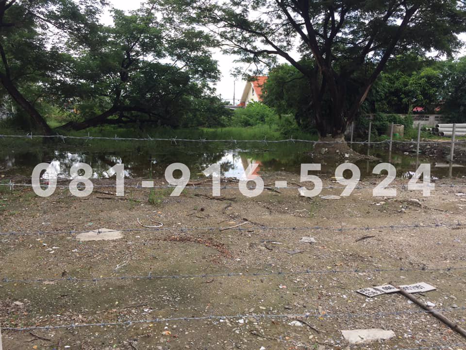 ขายที่ดินถมแล้ว-ถเลี่ยงเมืองปากเกร็ด-37-ซอยชูชาติ