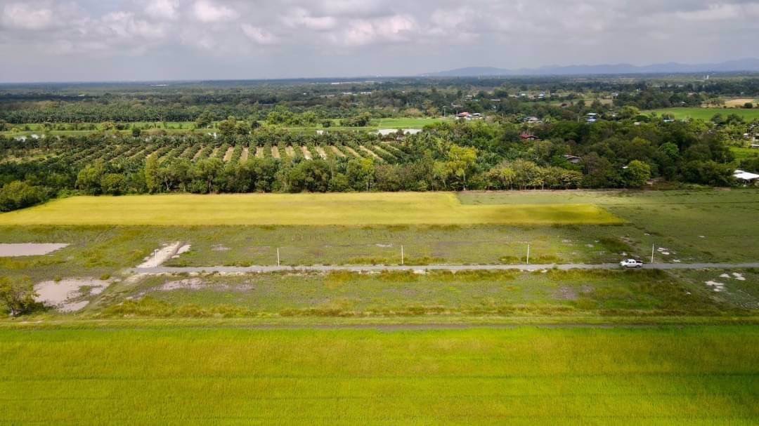 ที่ดินเงินผ่อน-บ้านนา-บ้านพริก-นครนายก-เฟส2-ผ่อนง่าย-ไม่มีดอกเบี้ย