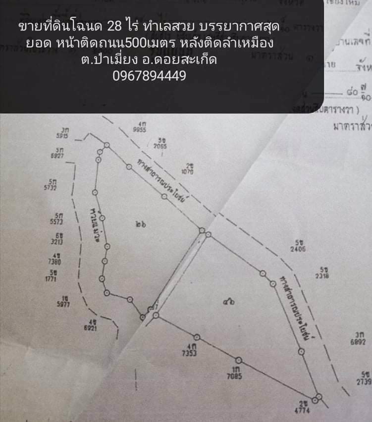 ขายที่ดินพร้อมสิ่งปลูกสร้าง-ที่ดินสวยบนเนินเขา-อากาศดีมาก