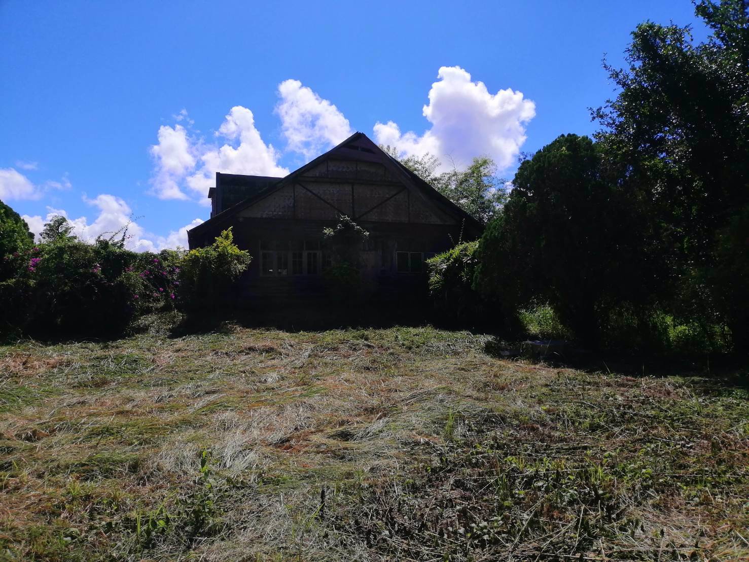 ขายที่ดินพร้อมสิ่งปลูกสร้าง-ที่ดินสวยบนเนินเขา-อากาศดีมาก