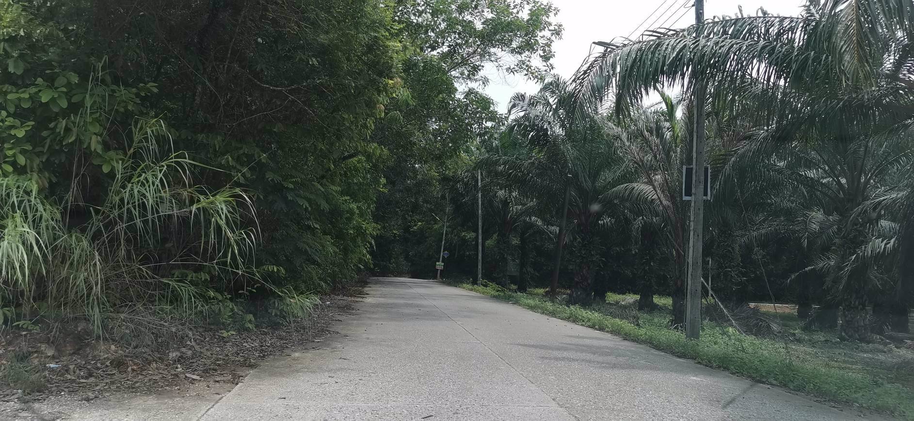 สวยเหมือนนางฟ้า…ราคาพร้อมโอน-ราคาเหมาแค่-165ล้าน-เท่านั้น