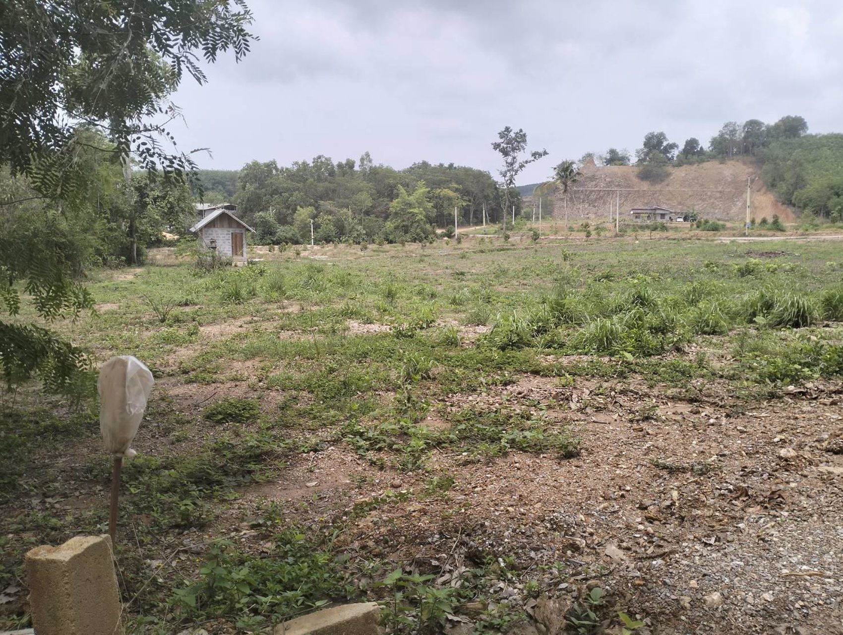 สวยเหมือนนางฟ้า…ราคาพร้อมโอน-ราคาเหมาแค่-165ล้าน-เท่านั้น