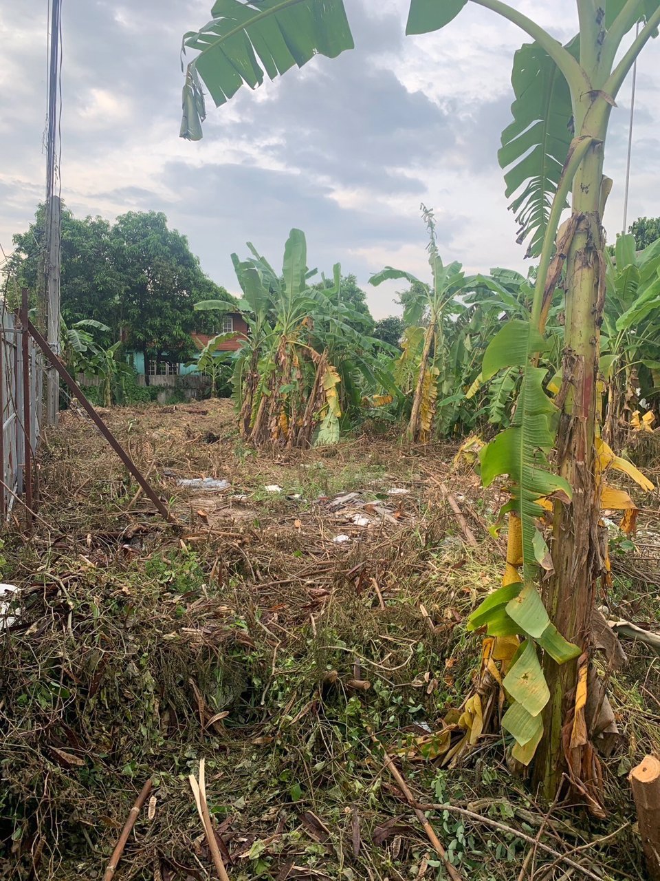 ขายที่ดินเปล่า-ทำเลดี-199-ตรว-สุขุมวิท101-1-วชิรธรรมสาธิต53-เขตพระโขนง-ใกล้bts-เจ้าของขายเอง