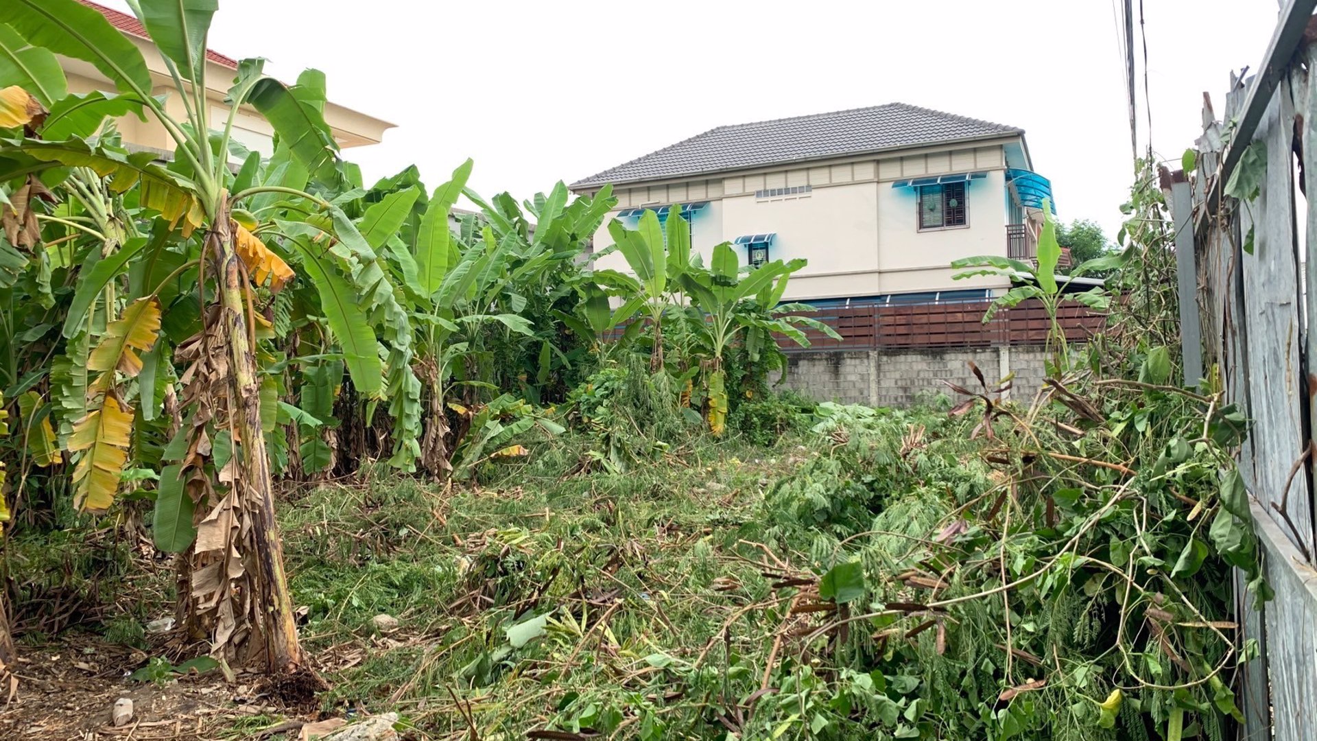 ขายที่ดินเปล่า-ทำเลดี-199-ตรว-สุขุมวิท101-1-วชิรธรรมสาธิต53-เขตพระโขนง-ใกล้bts-เจ้าของขายเอง