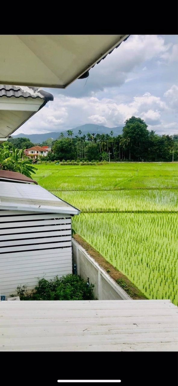 ขายบ้านเดี่ยว-หมู่บ้าน-กาญจน์กนกวิลล์12-แม่ริม-เจ้าของบ้านขายเอง