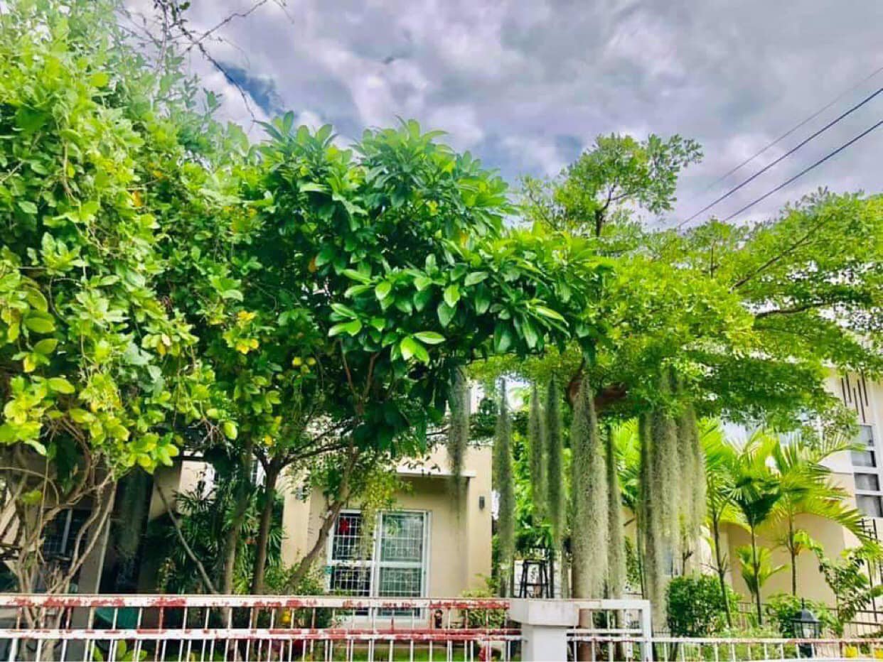 ขายบ้านเดี่ยว-หมู่บ้าน-กาญจน์กนกวิลล์12-แม่ริม-เจ้าของบ้านขายเอง