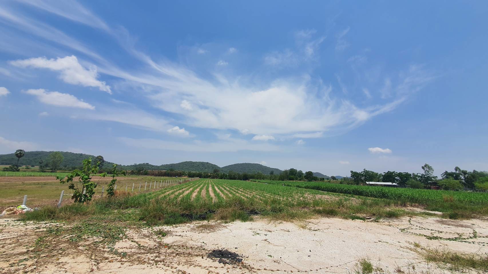 ขายที่ดินยกแปลง-ติดกับการุ้งค้าเหล็ก-ริมถนนอุทัย333