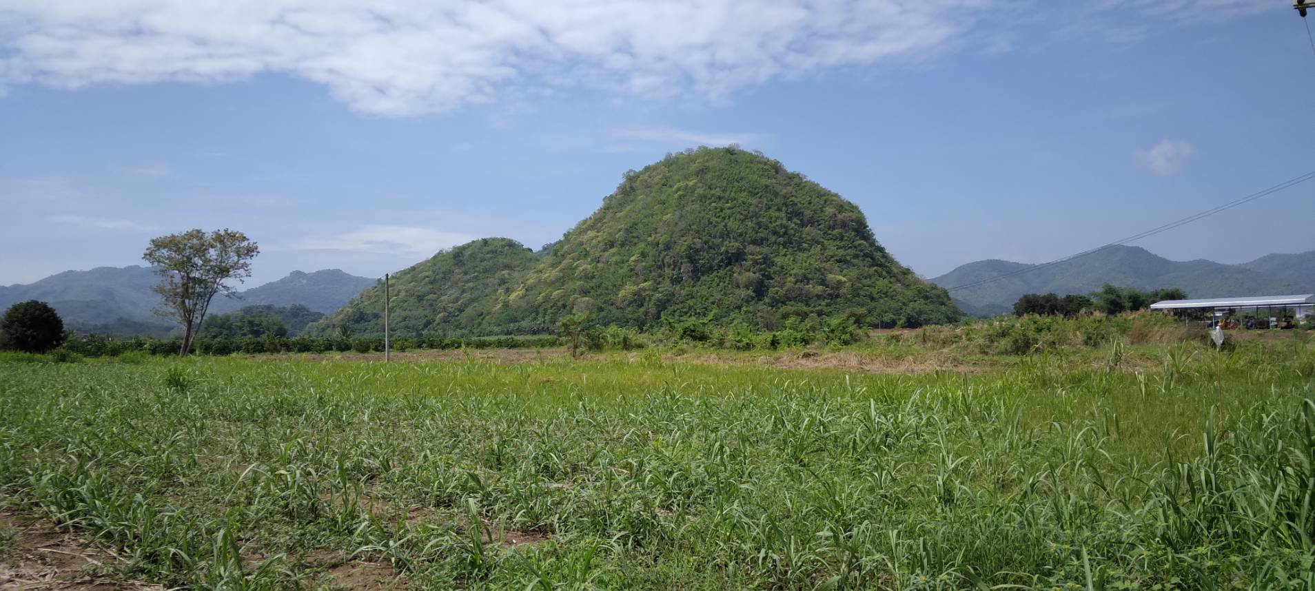 แบ่งขายโฉนดที่ดิน-ครุฑแดง-วิวเขาล้อม-บ้านห้วยป่าปก