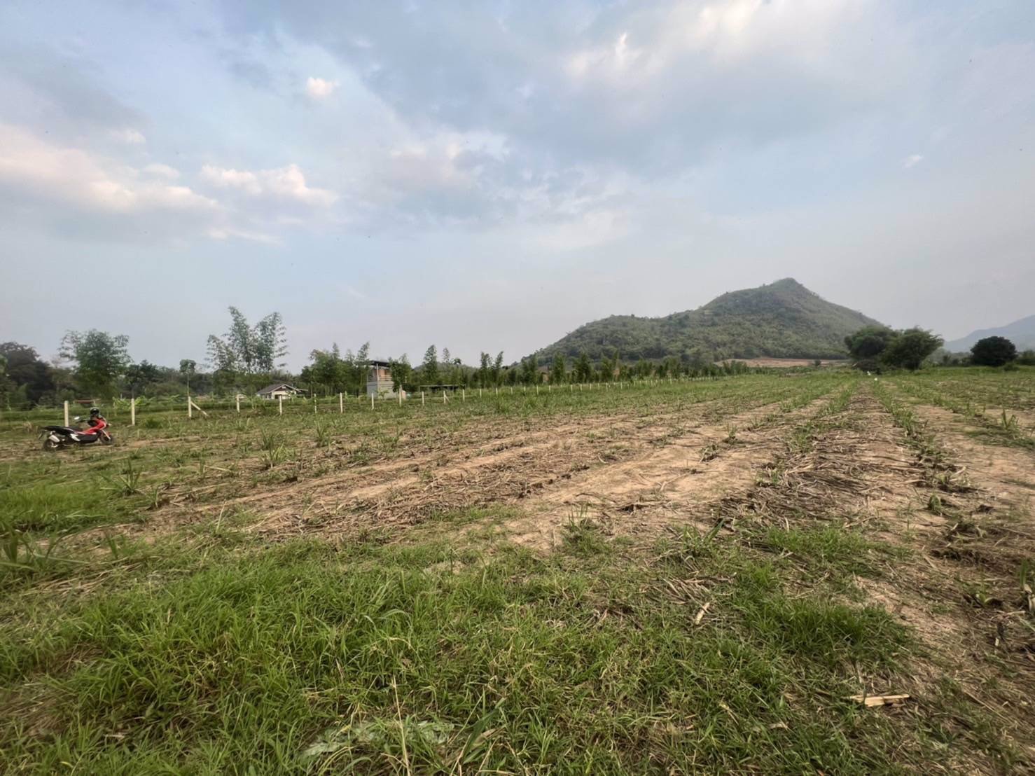 แบ่งขายโฉนดที่ดิน-ครุฑแดง-วิวเขาล้อม-บ้านห้วยป่าปก