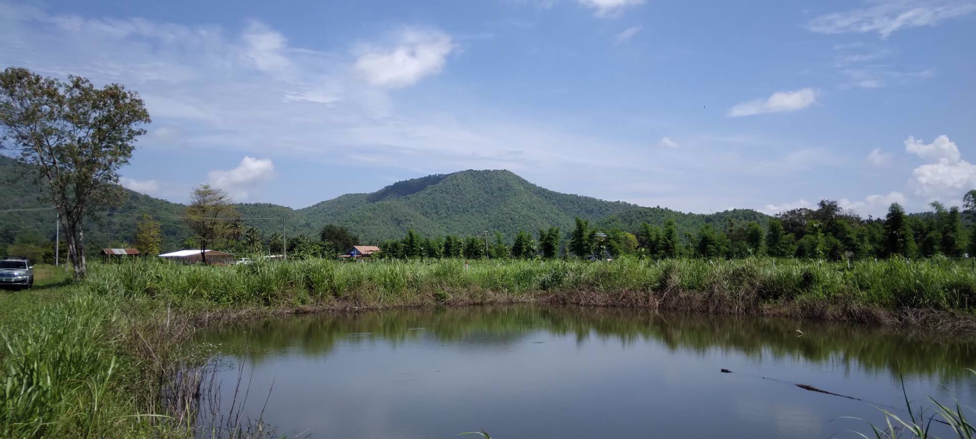 แบ่งขายโฉนดที่ดิน-ครุฑแดง-วิวเขาล้อม-บ้านห้วยป่าปก