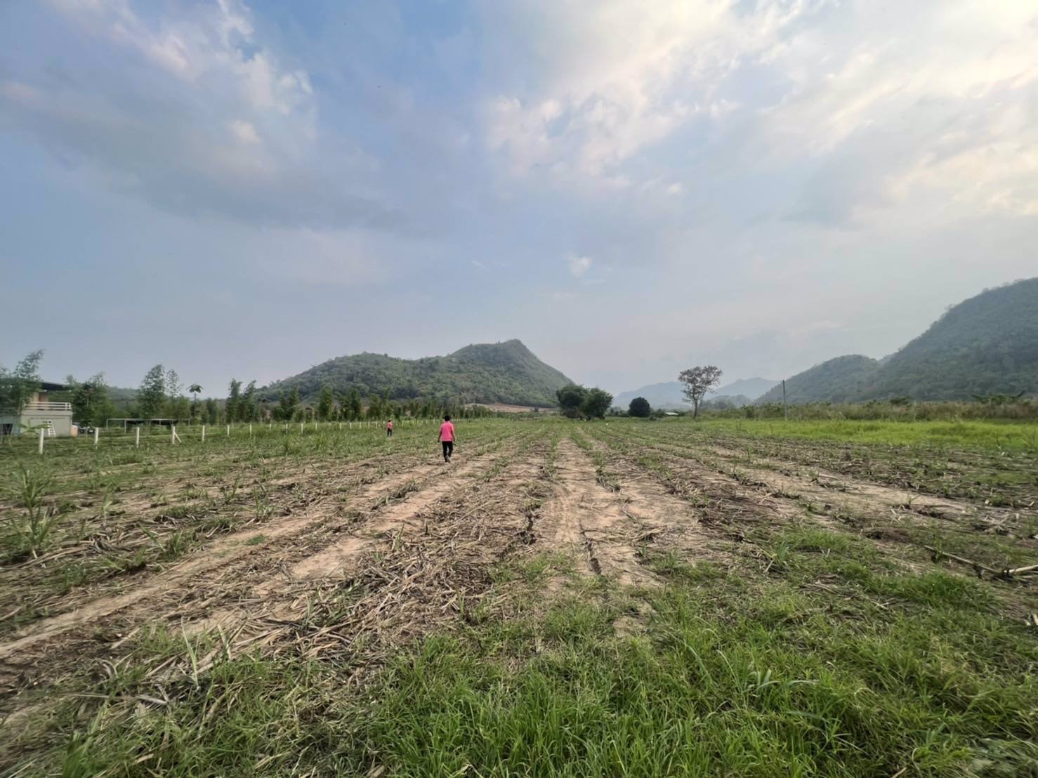 แบ่งขายโฉนดที่ดิน-ครุฑแดง-วิวเขาล้อม-บ้านห้วยป่าปก