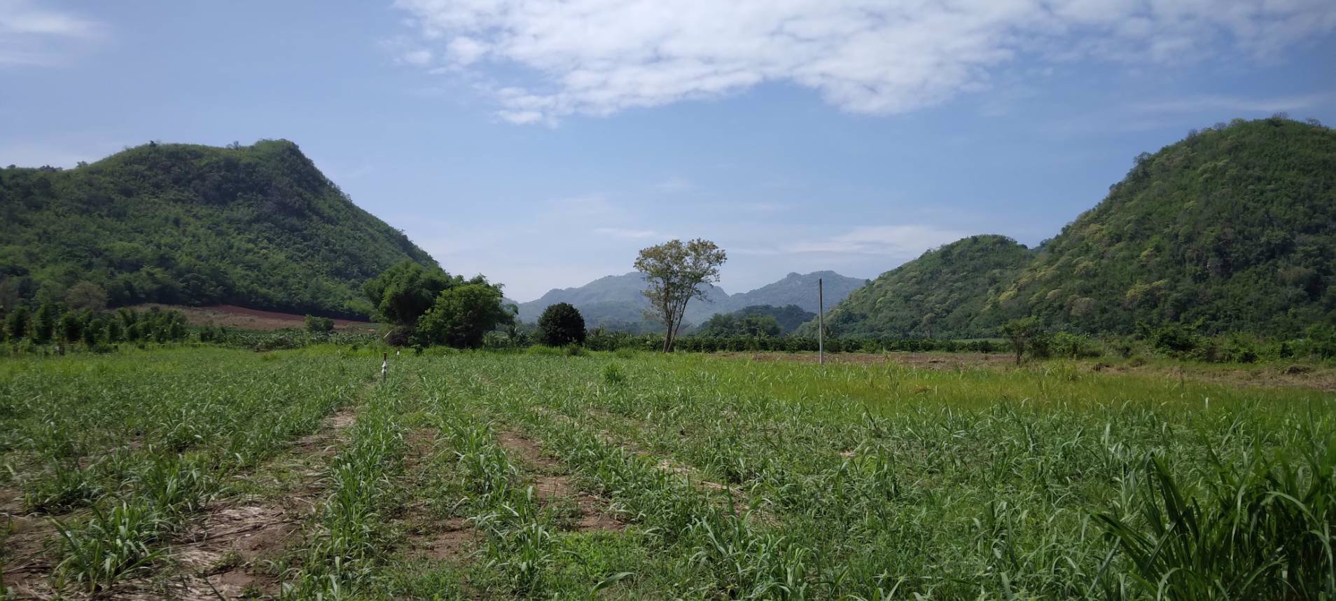 แบ่งขายโฉนดที่ดิน-ครุฑแดง-วิวเขาล้อม-บ้านห้วยป่าปก