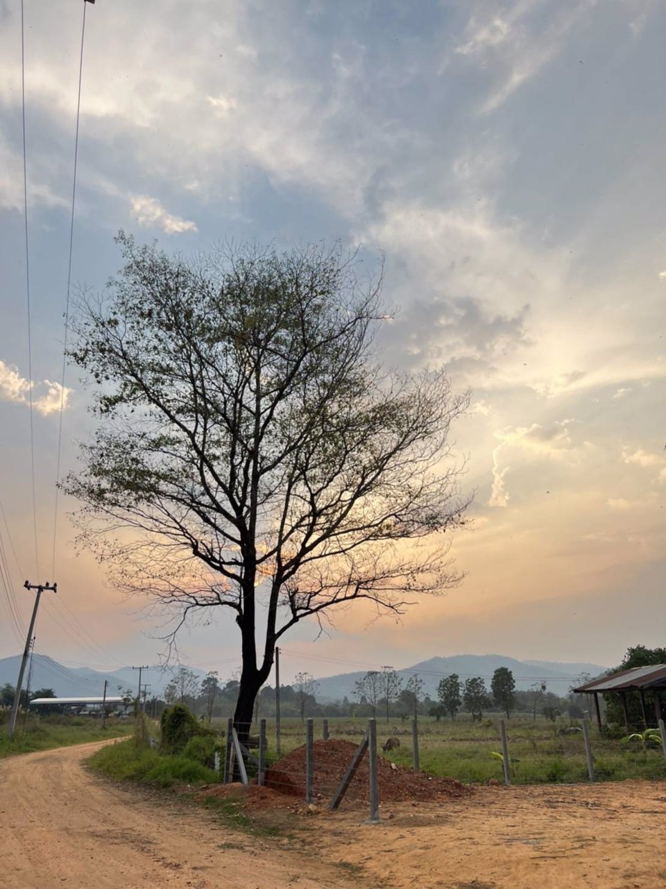 แบ่งขายโฉนดที่ดิน-ครุฑแดง-วิวเขาล้อม-บ้านห้วยป่าปก