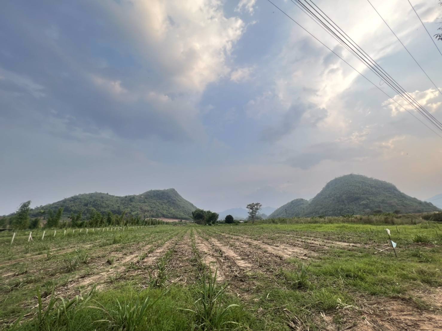 แบ่งขายโฉนดที่ดิน-ครุฑแดง-วิวเขาล้อม-บ้านห้วยป่าปก