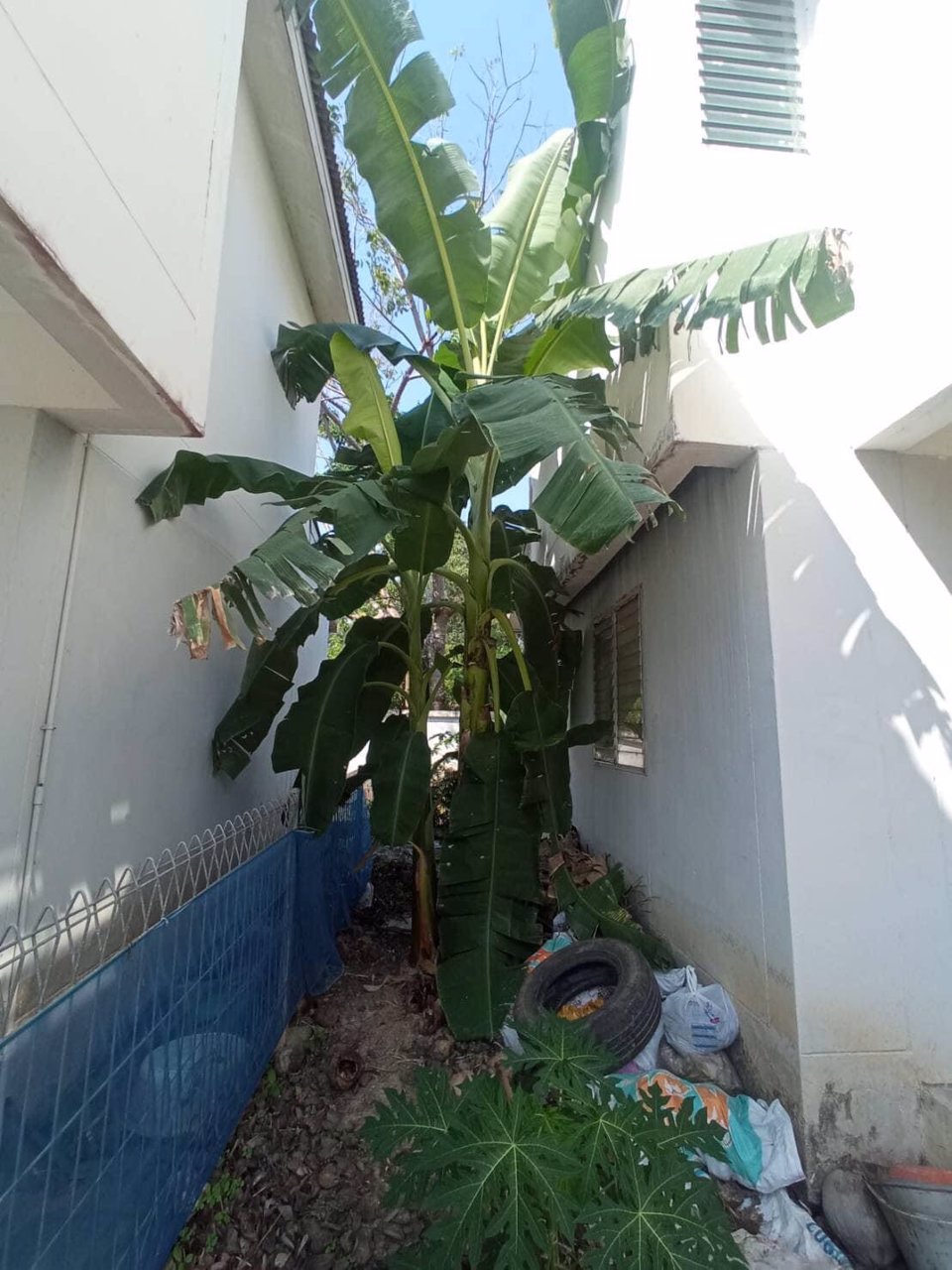 ขายบ้านเอื้ออาทร-ขายสองหลังคู่-อพนมสารคาม-ต้นซอย-ฟรีโอน