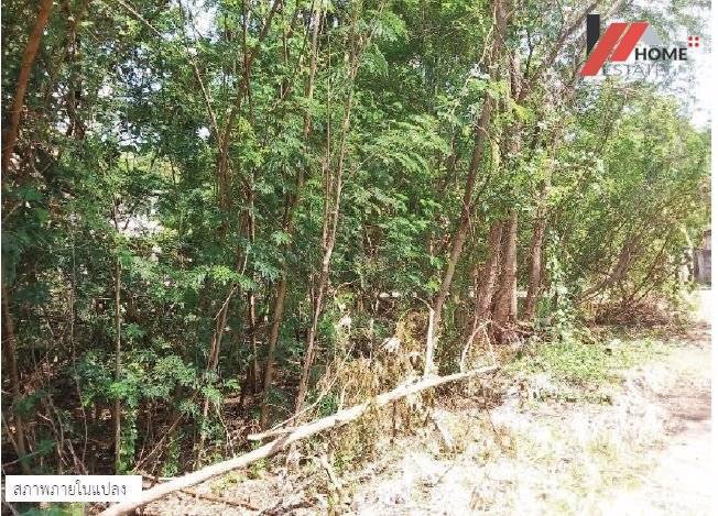 1006-ขายที่ดินในโครงการจัดสรร-หมู่บ้านกฤษาดานคร-29-แปลงหัวมุม