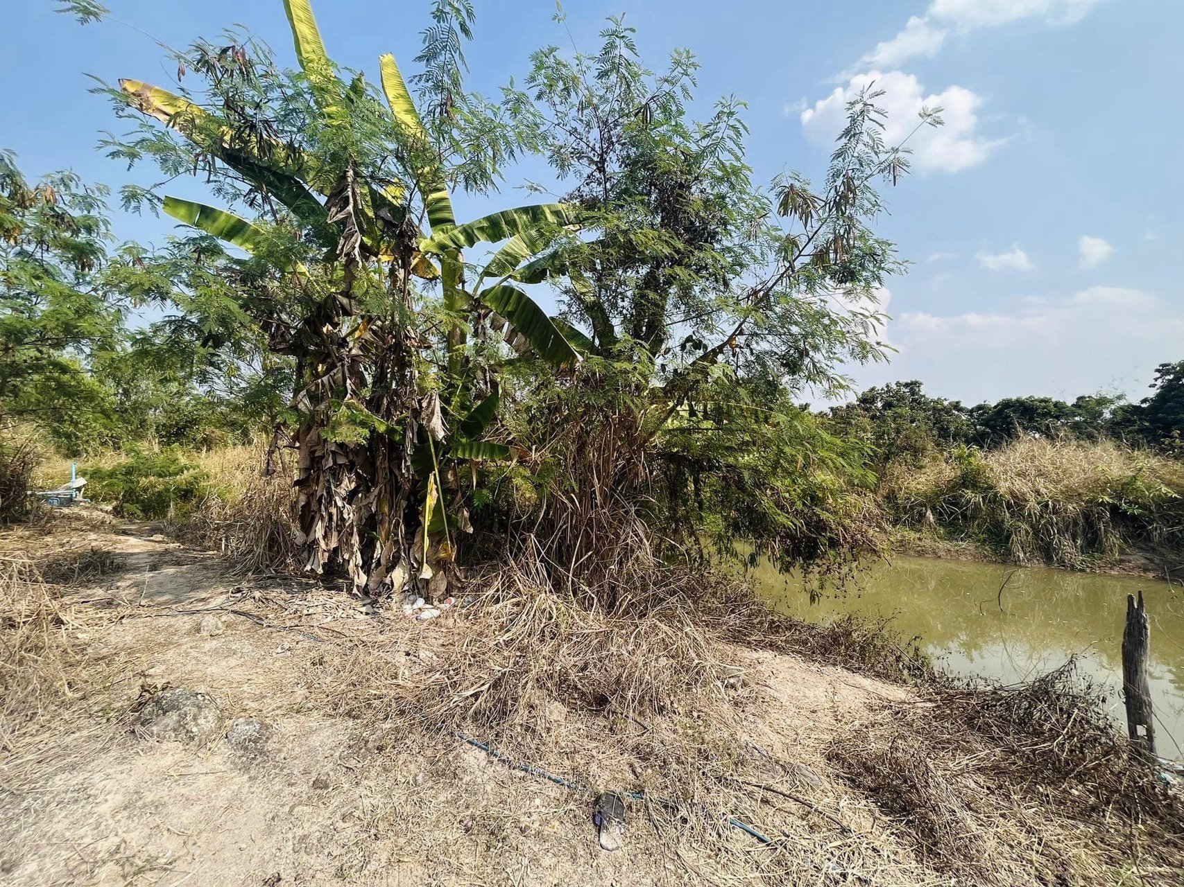 5-ไร่-179-ตรว-สงบ-ปลอดภัย-ไม่ห่างไกลความเจริญ